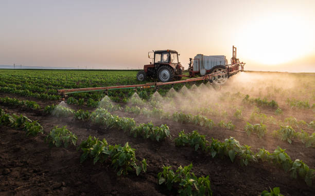 Best Pest Control Near Me  in Muscatine, IA