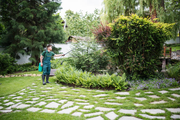 Best Mosquito Control Services  in Muscatine, IA