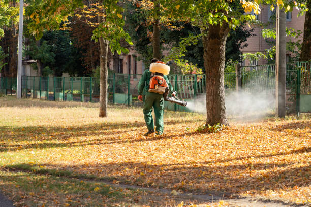 Best Bed Bug Extermination  in Muscatine, IA