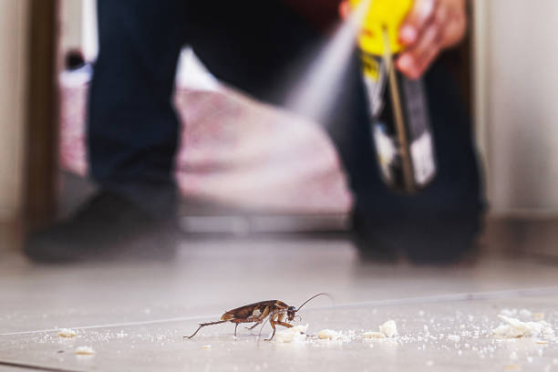 Reliable Muscatine, IA Pest Control Solutions