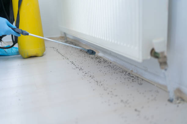 Best Best Pest Control Companies  in Muscatine, IA
