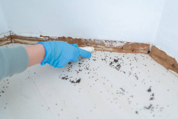  Muscatine, IA Pest Control Pros